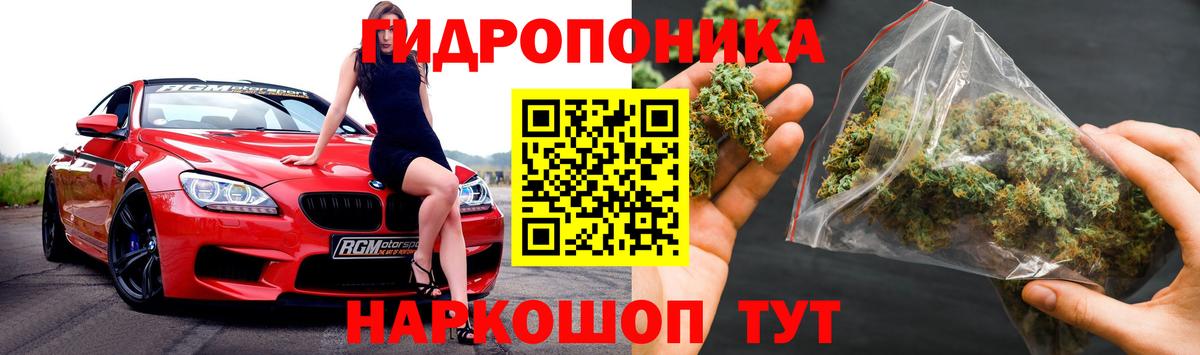 Шишки марихуана Bruce Banner Строитель